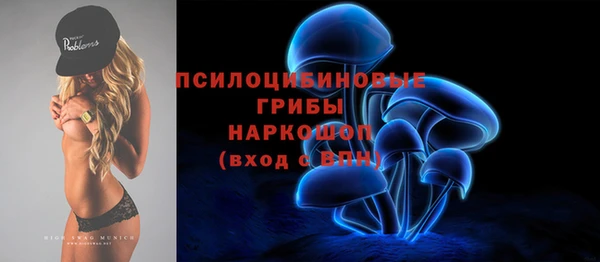 бошки Володарск