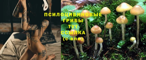 ALPHA-PVP Волоколамск