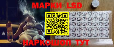 гидра Ставрополь