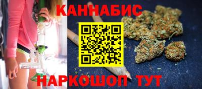 гидра Ставрополь