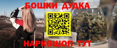 гидра Ставрополь