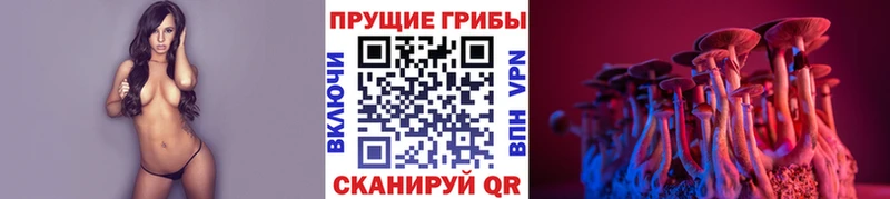 магазин продажи наркотиков Мончегорск Псилоцибиновые грибы мицелий