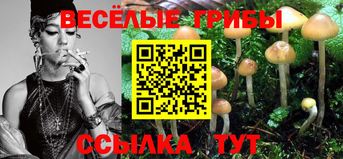 Псилоцибиновые грибы GOLDEN TEACHER  что такое   Мончегорск  Вход с VPN 